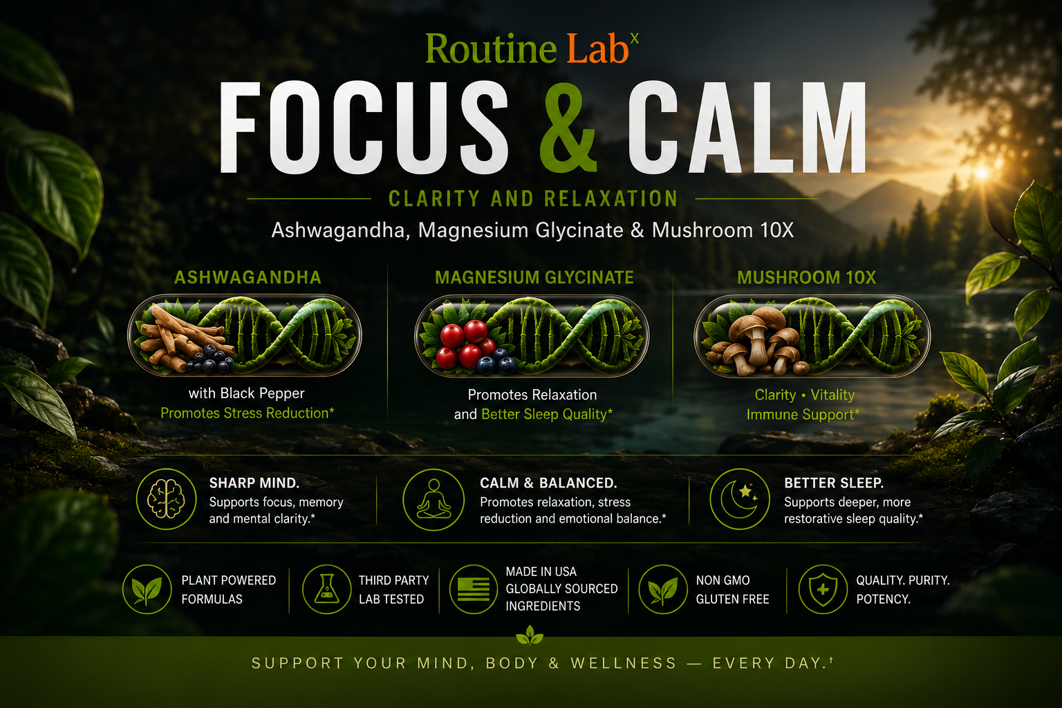 3-Pack – Focus & Calm (Clarity & Relaxation 🧠😌)