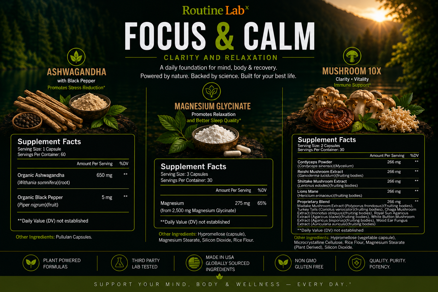 3-Pack – Focus & Calm (Clarity & Relaxation 🧠😌)