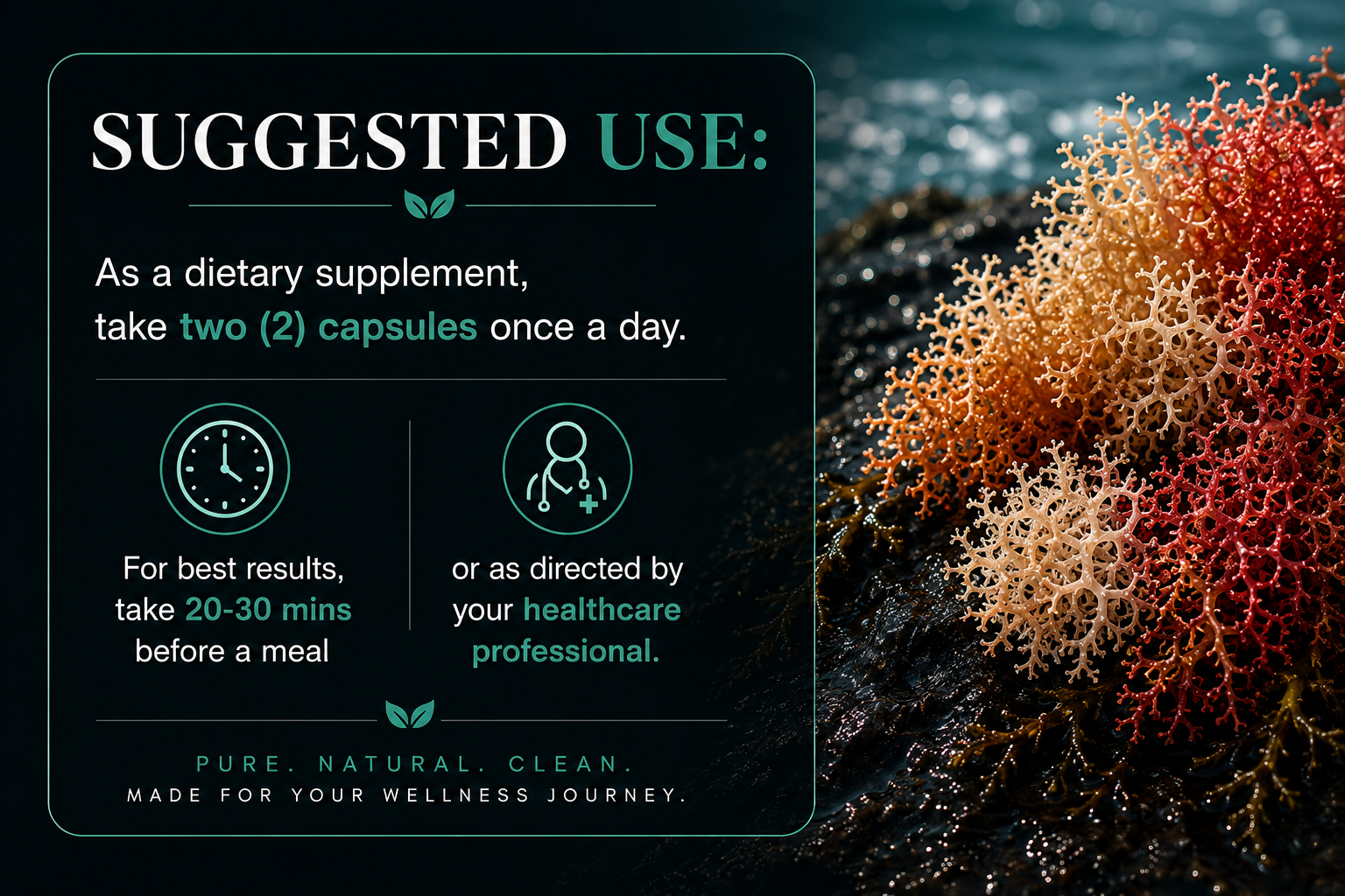 Sea Moss